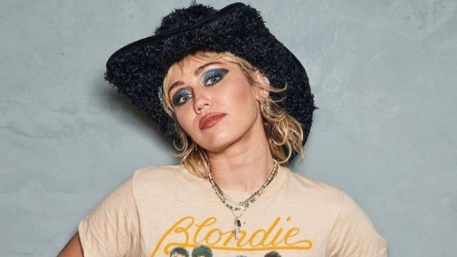 Майли Сайръс, секс играчките и приложението им в интериорния дизайн