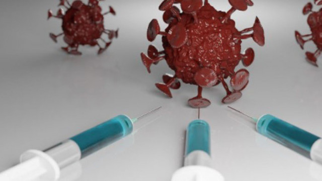 30% от българите заявяват, че желаят да се ваксинират срещу COVID-19