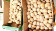 БАБХ не установи разминавания в обявения произход на картофите в търговски обекти и на борса в София