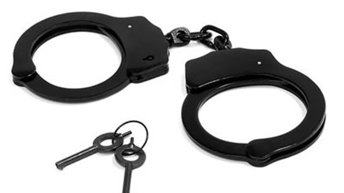 Арестуваха двама, пускали в интернет материали с експлоатация на деца