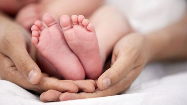 29 бебета са родени по общинската инвитро програма през 2020 година