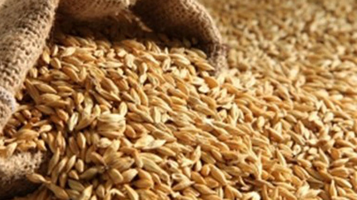 Разкриха крупна кражба на жито в карловско село