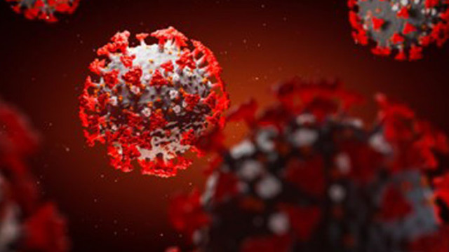 5642 новoзаразени с COVID-19 в Турция