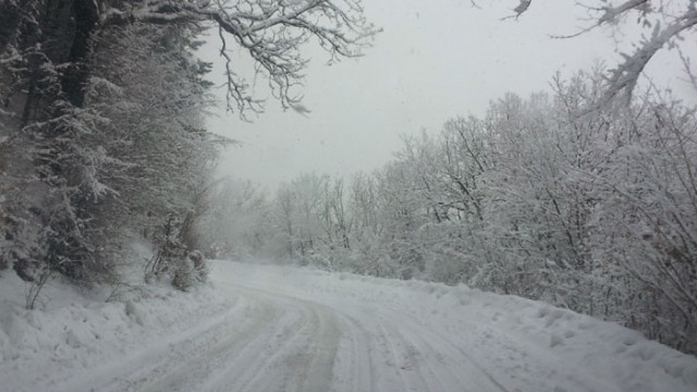 Забраняват движението на камиони над 12 тона по пътя Варна-Добрич