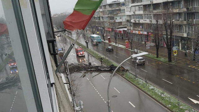 19 сигнала са получени при дежурния в община Варна във връзка с влошената метеорологична обстановка 