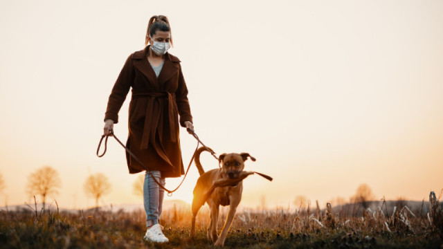 Ще ваксинираме ли и домашните любимци срещу COVID-19