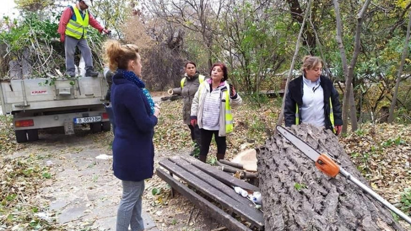 Има ли днес „компетентно“ становище Стела Николова за падналите изгнили дървета и клони във Варна