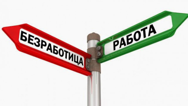 16 087  безработни в област Варна са устроени на работа през 2020 г.