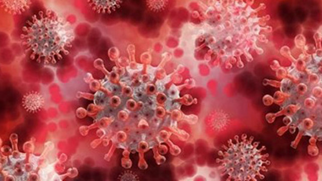 128 новозаразени с британския щам на COVID-19 в Турция