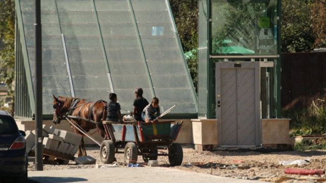 Проф. Смоленов: Стратегията на МС за интеграция на ромите излага на риск националната ни сигурност!