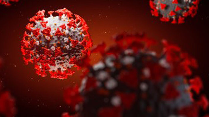 Словения: Епидемията не затихва