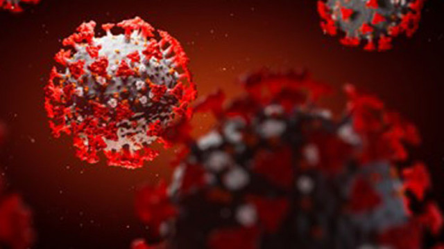 Словения: Епидемията не затихва