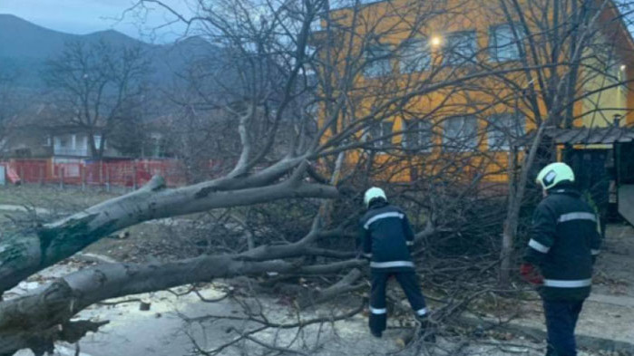 Паднали дървета от силния вятър, потрошен автомобил в Аспарухово