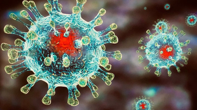 Леко повишение на заболеваемостта от COVID-19 за предната седмица във Варна, ръст и на ваксинираните