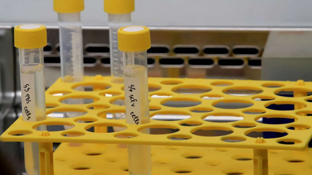Отпада отрицателният PCR за ученици и студенти от Балканите, пътуващи до България