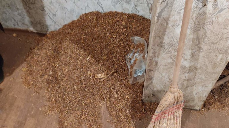 Митничари задържаха 454 кг тютюн без акциз в селска къща в Плевен
