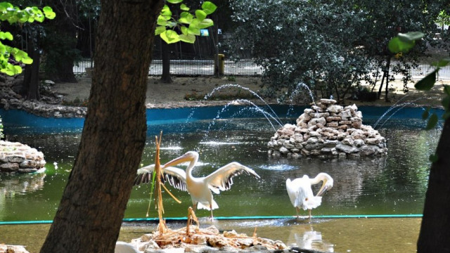 Започна ремонт на Зоопарка във Варна