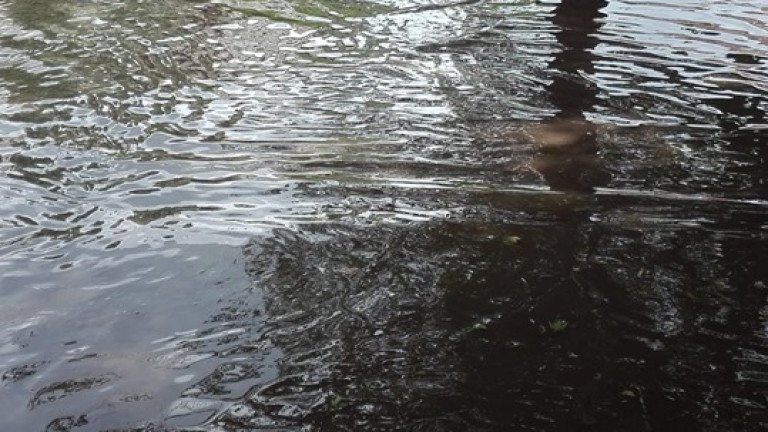 Пороен дъжд наводни части от пътя Велико Търново - Бяла