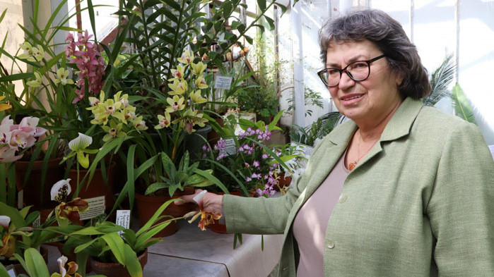 Доц. Антоанета Петрова: В България растат над 70 диворастящи орхидеи