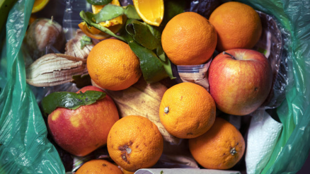 Човечеството изхвърля чудовищно голямо количество годна храна