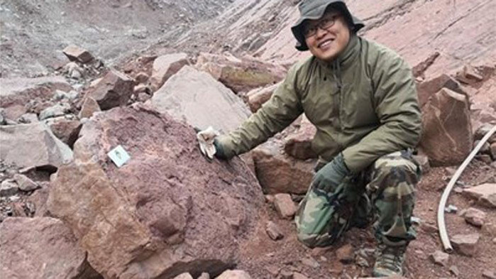 Учени откриха най-голямото струпване на следи от динозаври в Китай
