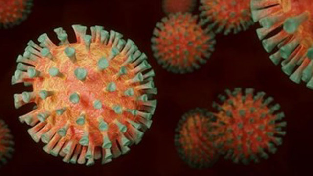 В Япония отриха нова опасна мутация на коронавируса