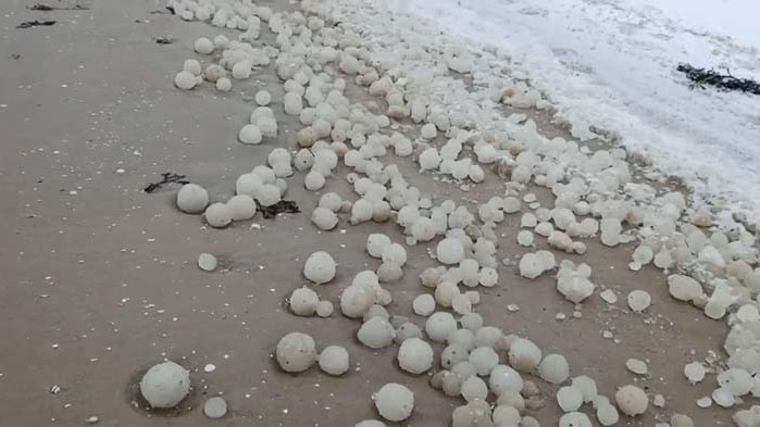 Ледени топки покриха плаж в Латвия. Феноменът изуми хората в