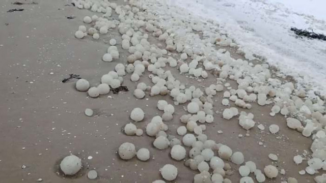 Ледени топки покриха плаж в Латвия Феноменът изуми хората в