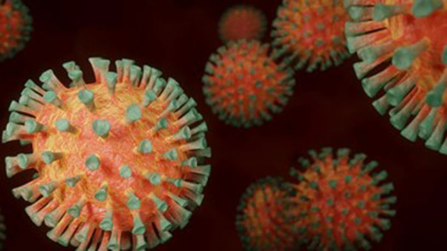 Австрийското правителство провежда днес консултации по въпроса за противоепидемичните мерки