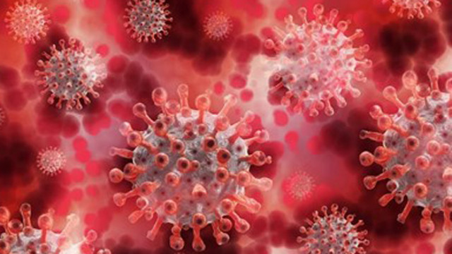 Полша регистрира днес над 25 000 нови случая на коронавирус