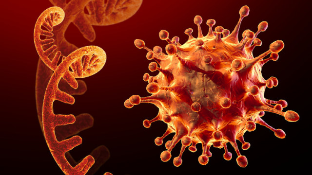 COVID 19 все повече застрашава и децата  зачестяват тежките белодробни инфекции