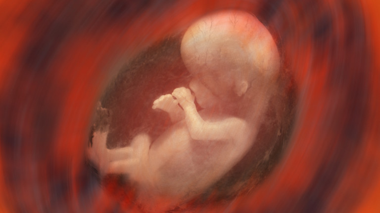 Пробив в Израел: отглеждат стотици ембриони на мишки в изкуствени утроби