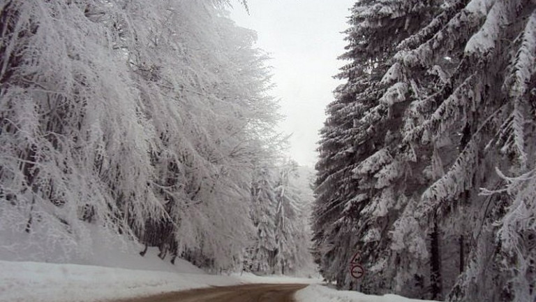 Лавина падна на прохода Петрохан, съобщава Нова телевизия. Случаят е от