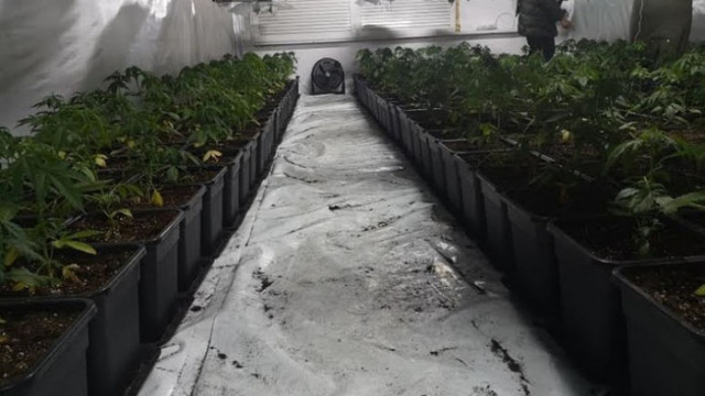 Разбиха нарколаборатория в Ловешко