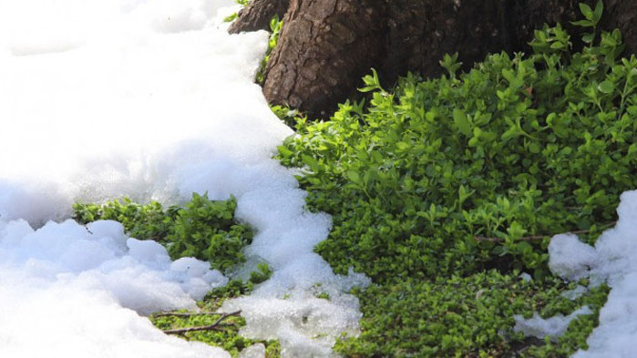 Днес над Западна България облачността ще намалява. Днес преди обяд над