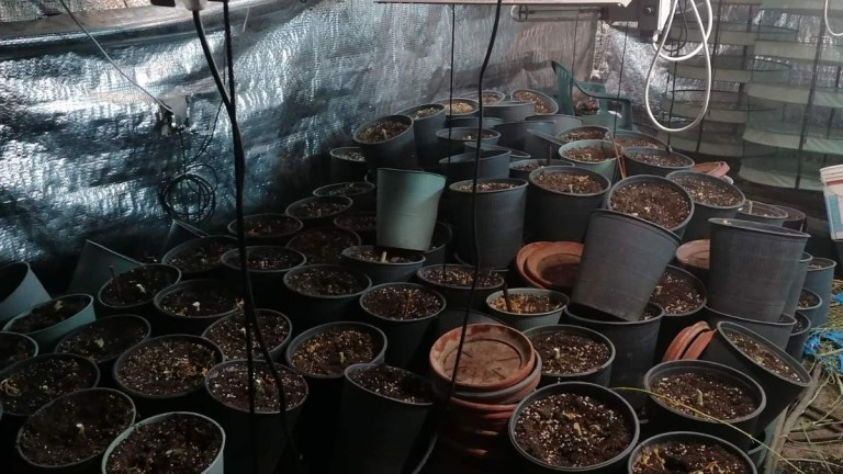 Иззеха около 20 кг марихуана от мазе в Бургаско село