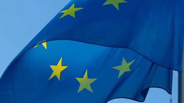 Мнозинството делегати на конгреса на Алтернатива за Германия който се