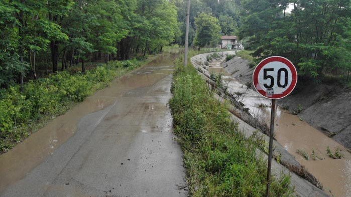 Наводнени къщи и паднало дърво след последния дъжд в Добрич – СНИМКИ