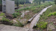 Наводнени къщи и паднало дърво след последния дъжд в Добрич – СНИМКИ