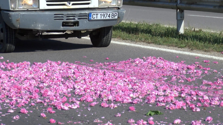 С по 0,30 лева на килограм преработен цвят от маслодайна