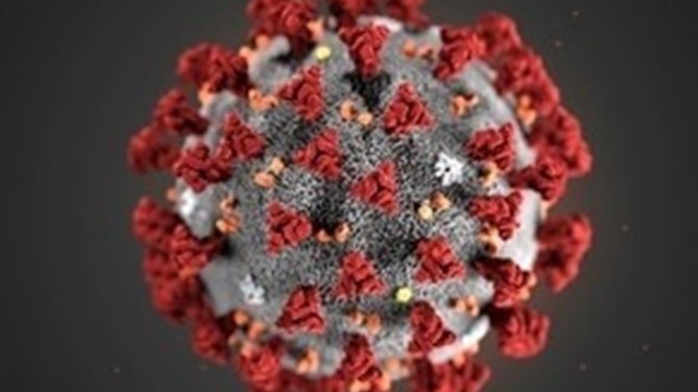 Индия регистрира над 332 730 нови случая с коронавирус за