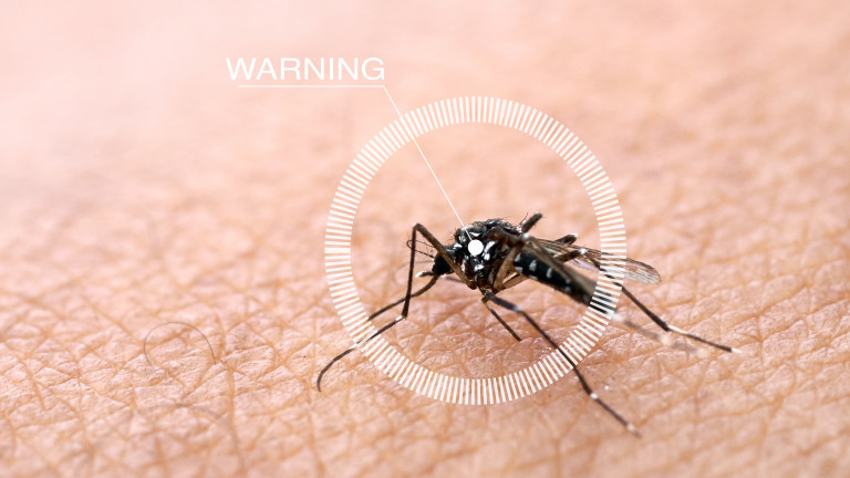 Ваксината срещу малария се оказа 77% ефективна в ранните опити