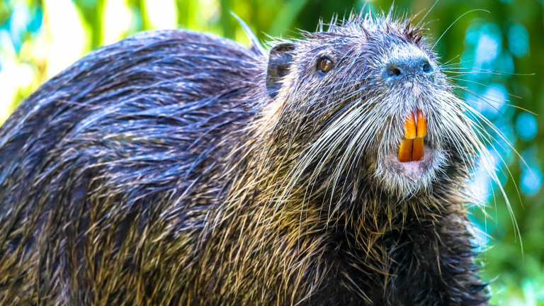 Канадско градче остана без интернет точно в нощта на Оскарите,