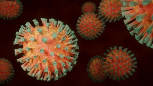 Германия регистрира 24 329 нови случая на заразяване с коронавирус
