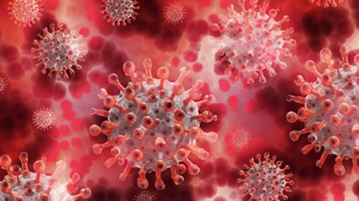 50 случая на "мексиканския" щам на коронавируса в Дания