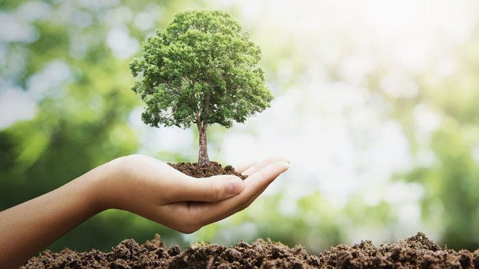 12 май – Международен ден на сестринството. Ден на надеждата