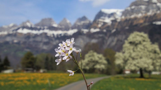 В четвъртък преди обяд ще бъде предимно слънчево В следобедните