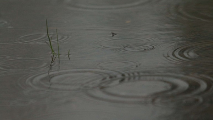 Максималните температури ще са предимно между 21 и 26 градуса