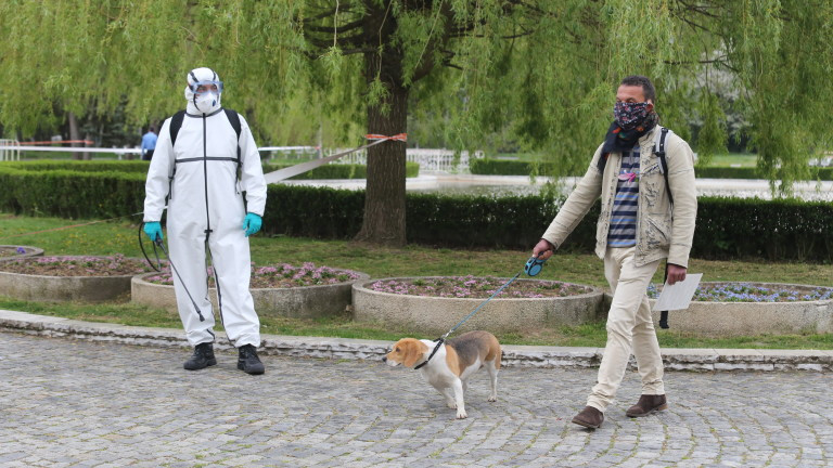 Само за няколко часа отрова, разпръсната на улица в София,