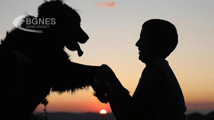 Индийската полиция арестува YouTuber за връзване на балони с хелий